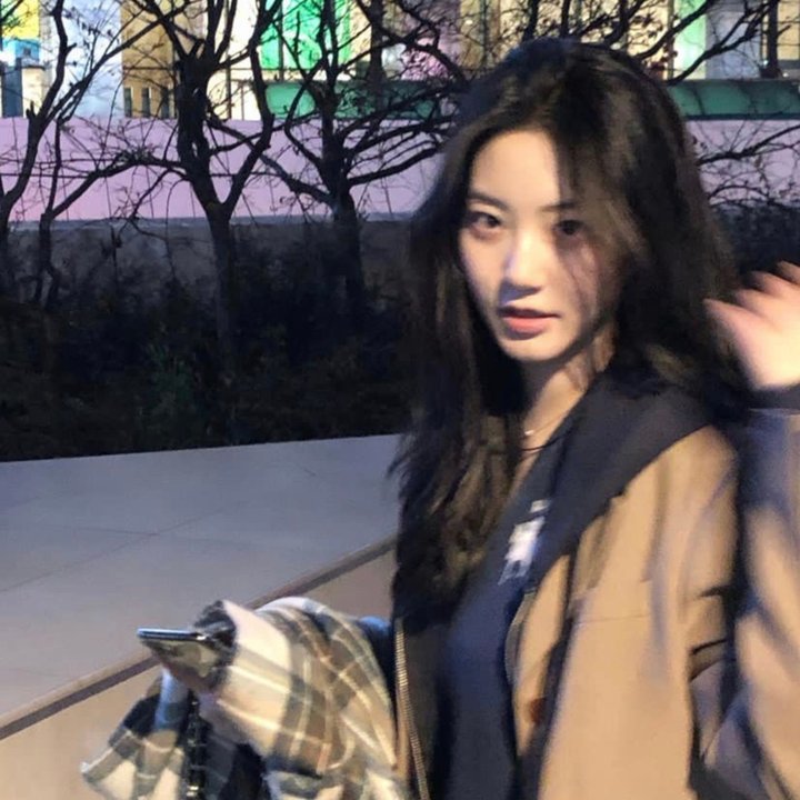 白日美人