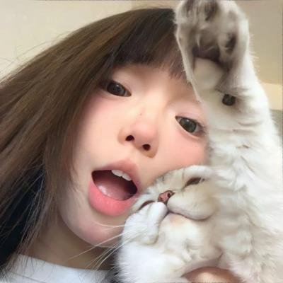 锦密令